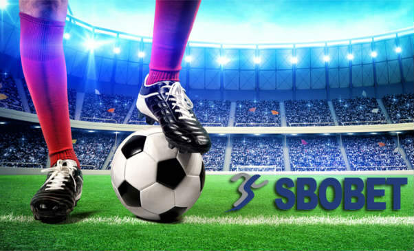 Rahasia Sukses dalam Judi Bola dengan Sbobet88